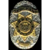 Brea, California Police Department Sergeant  Badge Pin